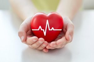Close-up of heart with cardiogram held in hands